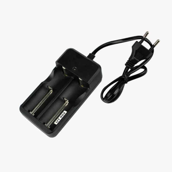 Chargeur de batterie Lithium 18650 avec fil - 2 cellules